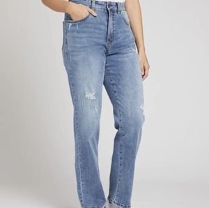 Universal Standard Curve Jeans